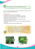 media.product.imagealternatetextformat