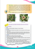 media.product.imagealternatetextformat