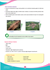 media.product.imagealternatetextformat